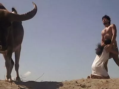 شہوانی ، شہوت انگیز بلی میں داخل ہونے کی وجہ سے آدمی کو بڑا لنڈ دے کر آرام کرتا ہے